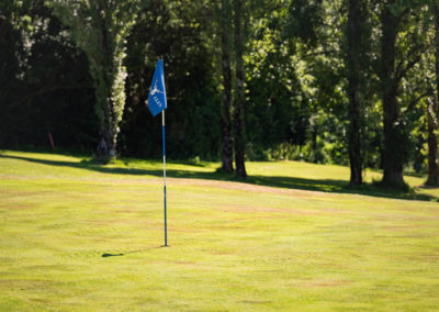 flag on golf green
